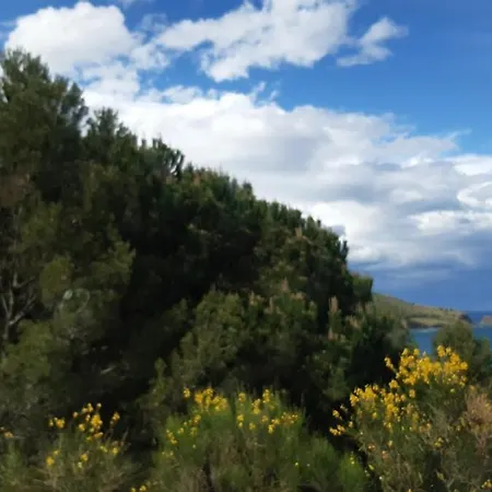 T2 - La Grande Bleue - Banyuls-Sur-Mer Apartment